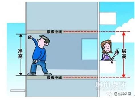 建築法規 樓層高度